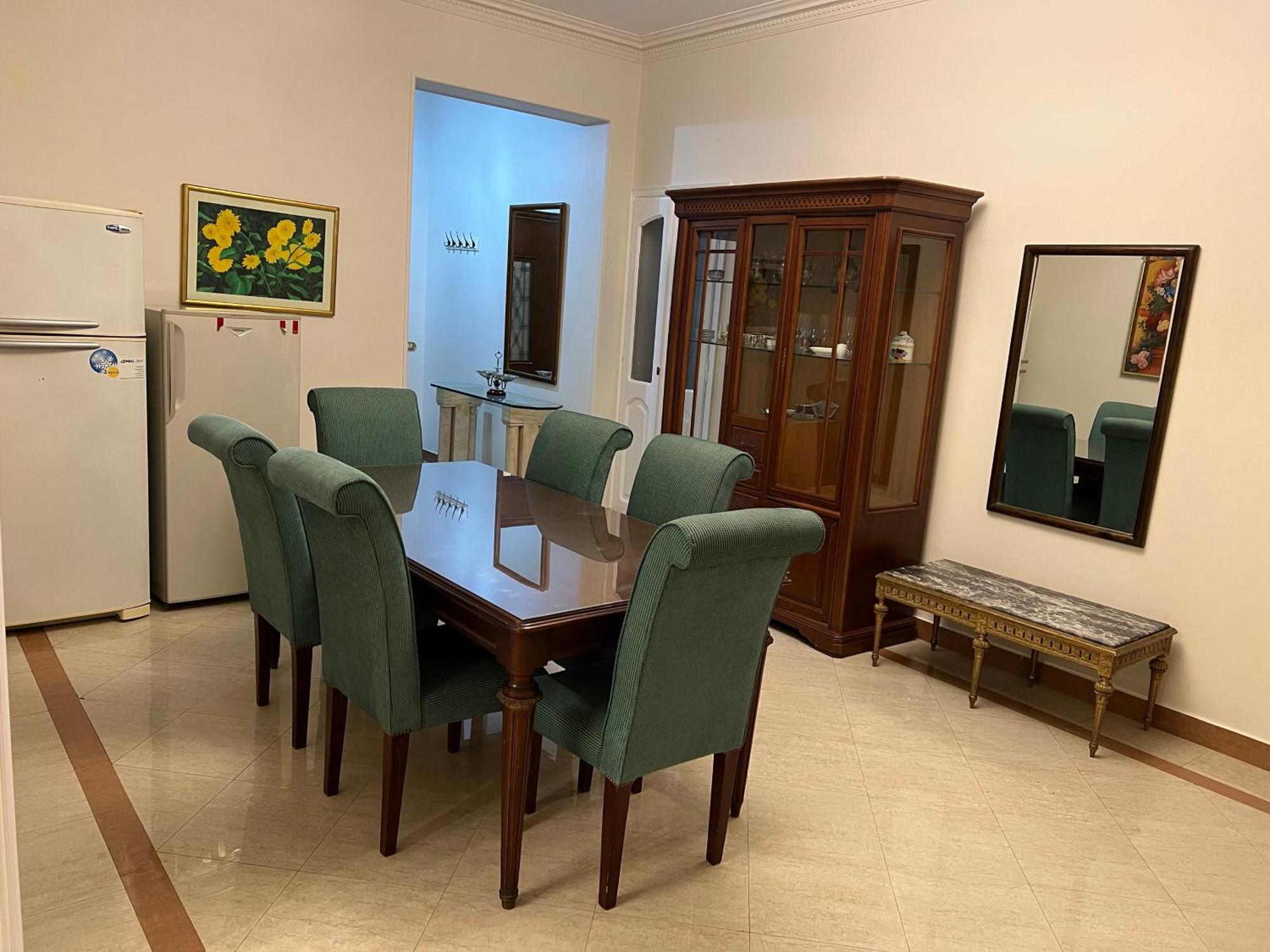 Apartment Panorama Nile View Duplex-giza *